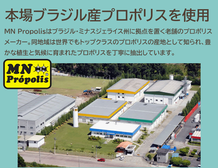 本場ブラジル産プロポリスを使用。MN Propolisはブラジル・ミナスジェライス州に拠点を置く老舗メーカーです。