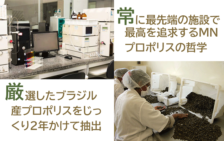 常に最先端の施設で最高を追求するMNプロポリスの哲学。厳選したブラジル産プロポリスをじっくり2年かけて抽出。