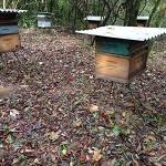 ミツバチの巣箱