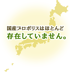 国産プロポリスはほとんど存在していません。