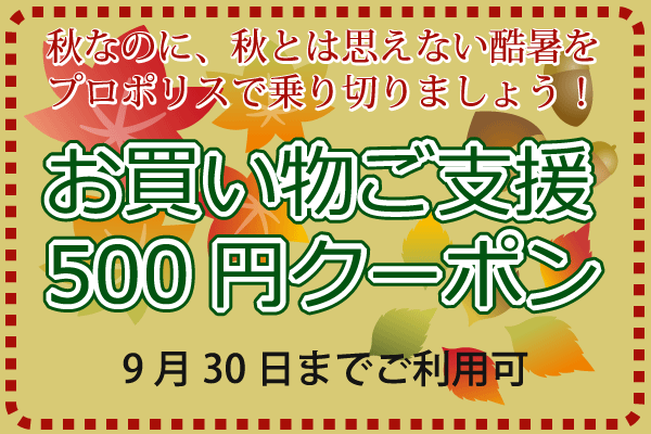 500円分クーポン