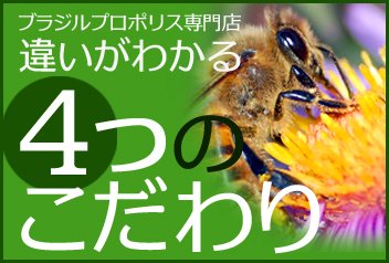 ブラジルプロポリス専門店　違いがわかる4つのこだわり