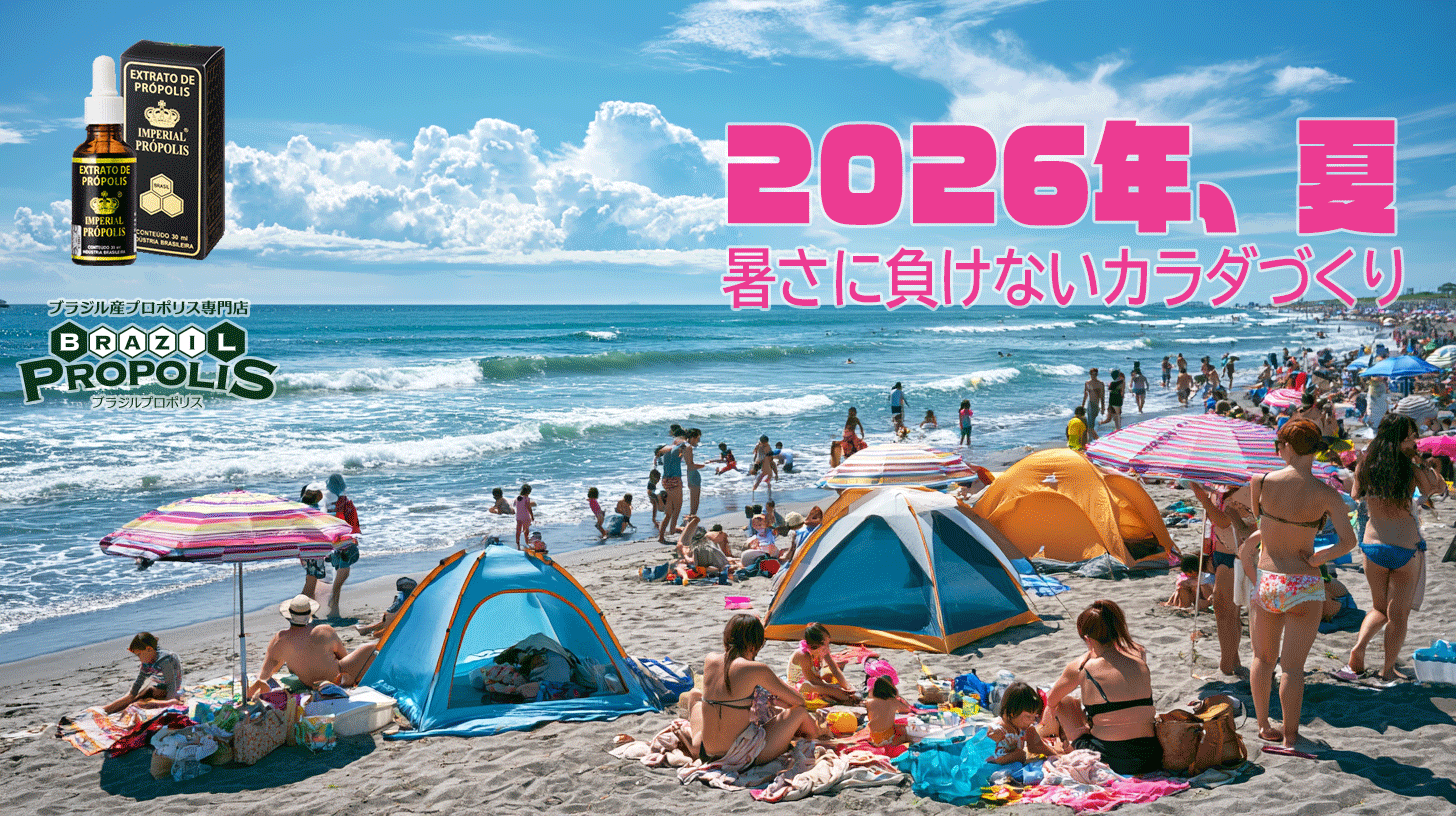 2026 summer banner