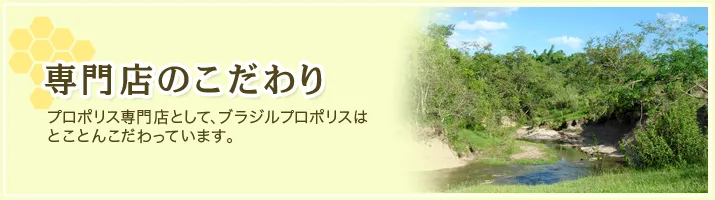 専門店のこだわり