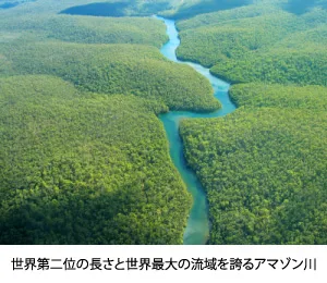 ブラジルの自然