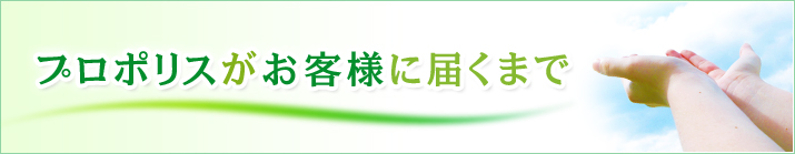 プロポリスがお客様に届くまで