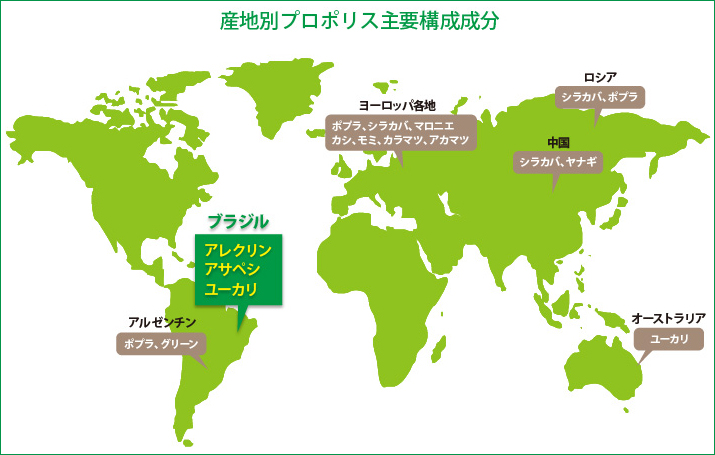 産地別プロポリス主要構成成分　ブラジル：アレクリン、アサペシ、ユーカリ　アルゼンチン：ポプラ、グリーン　ヨーロッパ各地：ポプラ、シラカバ、マロニエ、カシ、モミ、カラマツ、アカマツ　ロシア：シラカバ、ポプラ　中国：シラカバ、ヤナギ　オーストラリア：ユーカリ