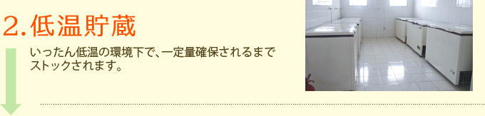 2.低温貯蔵　いったん低温の環境下で、一定量確保されるまでストックされます。