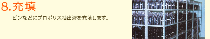 8.充填　ビンなどにプロポリス抽出液を充填します。