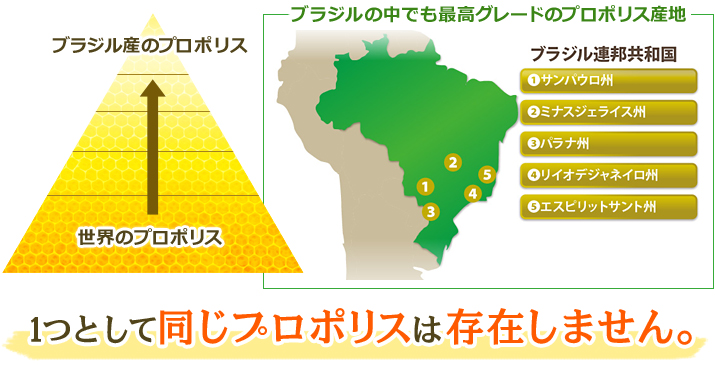 ブラジルの中でも最高グレードのプロポリス産地　サンパウロ州・ミナスジェライス州・パラナ州・リイオデジャネイロ州・エスピリットサント州1つとして同じプロポリスは存在しません。