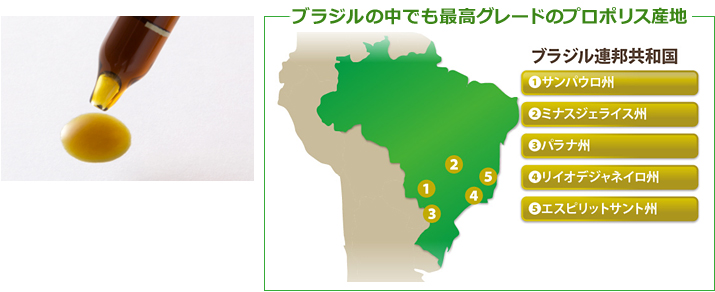 ブラジルの中でも最高グレードのプロポリス産地 サンパウロ州・ミナスジェライス州・パラナ州・リイオデジャネイロ州・エスピリットサント州
