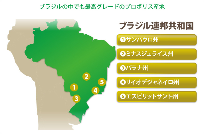 ブラジルの中でも最高グレードのプロポリス産地　サンパウロ州・ミナスジェライス州・パラナ州・リイオデジャネイロ州・エスピリットサント州