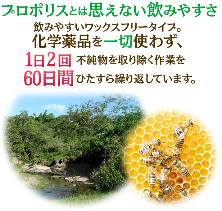 プロポリスとは思えない飲みやすさ　飲みやすいワックスフリータイプ。化学薬品を一切使わず、1日2回不純物を取り除く作業を60日間ひたすら繰り返しています。