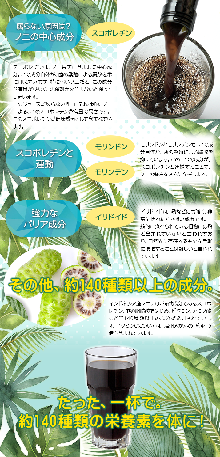 ノニに含まれる栄養素
