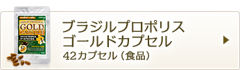 ブラジルプロポリスゴールドカプセル42カプセル（食品）