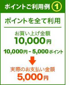 ポイントご利用例1：ポイントを全て利用　お買い上げ金額が10,000円の場合なら10,000円－5,000ポイントで実際のお支払金額は5,000円