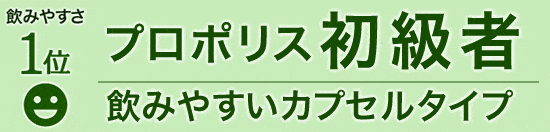 飲みやすさ1位 プロポリス初級者（飲みやすいカプセルタイプ）