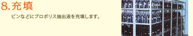 8.充填　ビンなどにプロポリス抽出液を充填します。