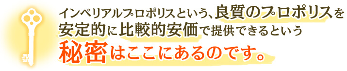 インペリアルプロポリスという、良質のプロポリスを安定的に比較的安価で提供できるという秘密はここにあるのです。